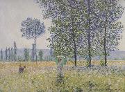 Claude Monet Fields in Spring oil